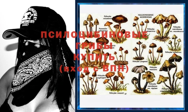 ешки Верхний Тагил