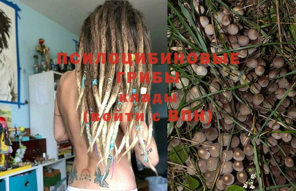ешки Верхний Тагил