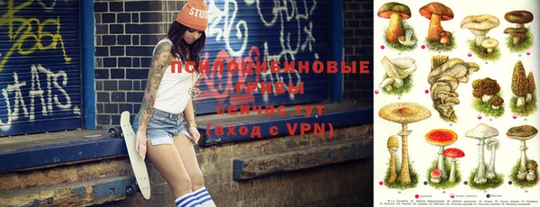 ешки Верхний Тагил