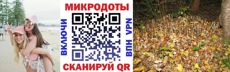 Галлюциногенные грибы ЛСД Переславль-Залесский